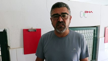 Köpeğini araca bağlayıp sürükledi: Bakın ne kadar ceza aldı