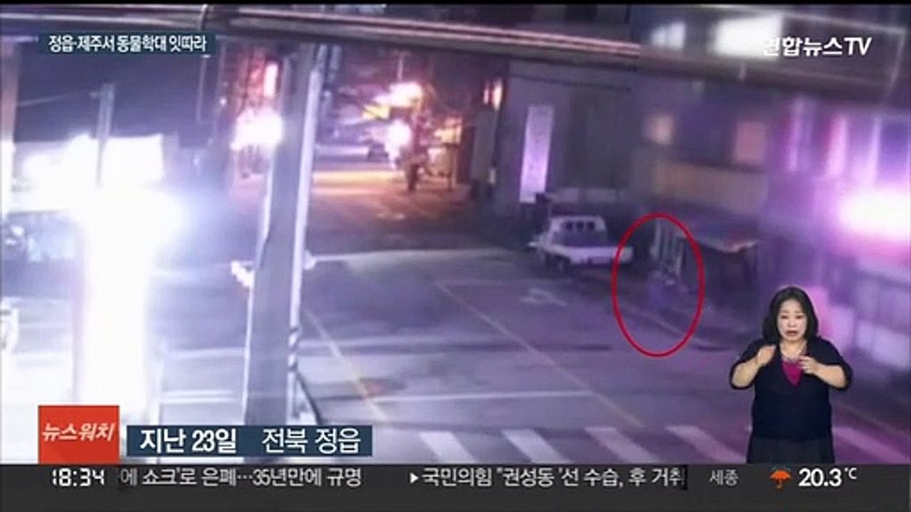 주인 살린 '복순이' 잔혹 학대…붙잡힌 피의자는 반려인