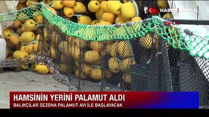 'Hamsi' severlere kötü haber!