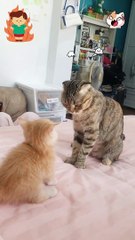 PLEASE DONT BE ANGRY....... I LOVE YOU.........MOM