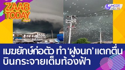 ปรากฎการณ์สุดแปลก! เมฆยักษ์ก่อตัว ทำ 'ฝูงนก' แตกตื่น บินกระจายเต็มท้องฟ้า (30 ส.ค. 65) แซ่บทูเดย์