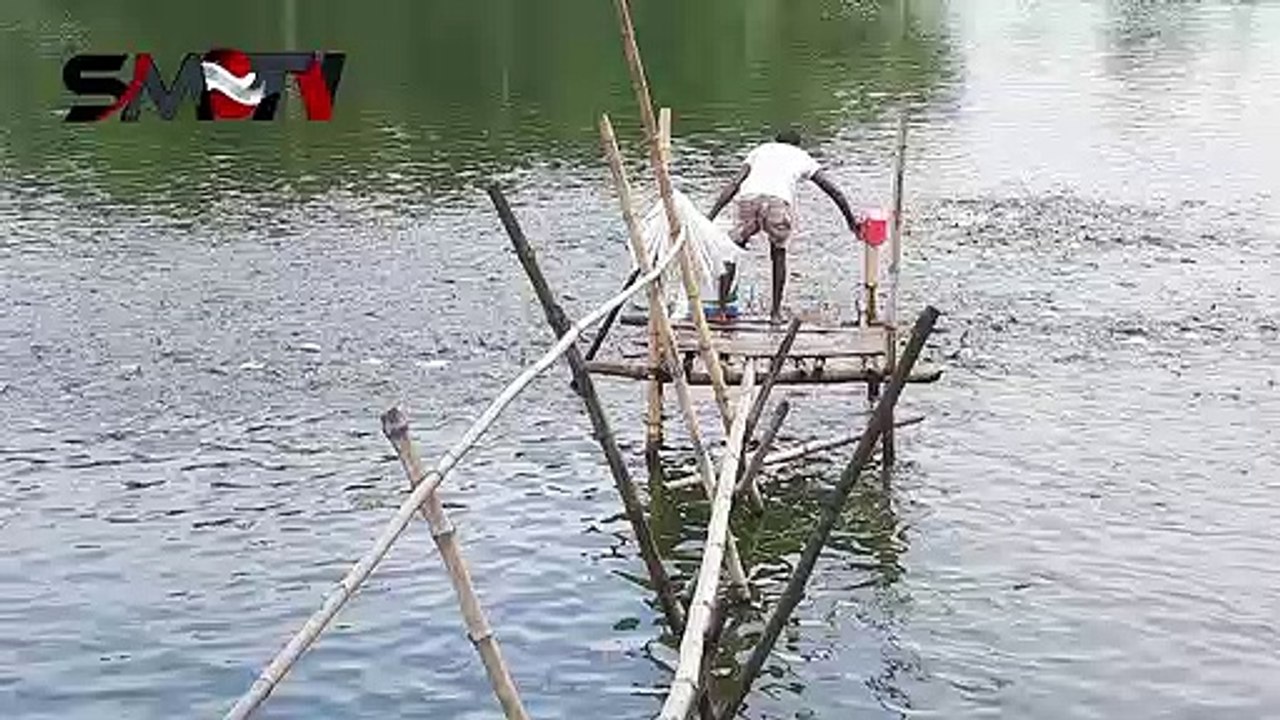 মাছকে কিভাবে খাবার দেয়া হয় দেখে নিন