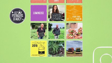 Case Study Brand Content - D'Aucy - 2020