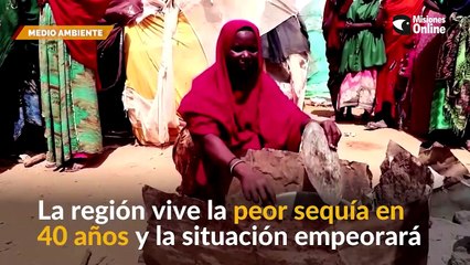 Preocupante sequía extrema en El Cuerno de África