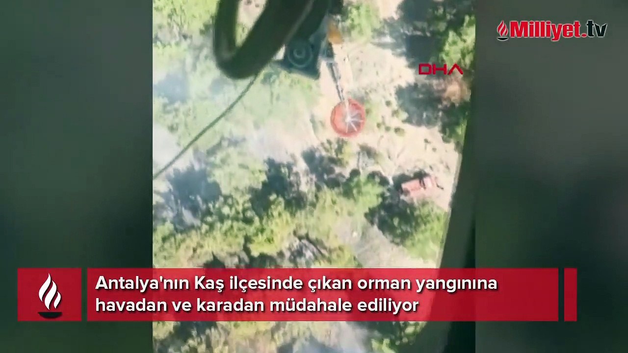 Antalya'da orman yangını