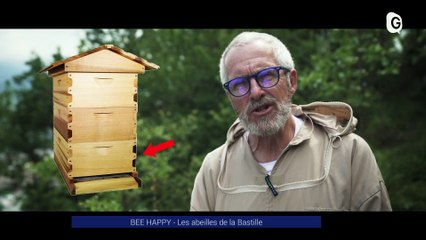 Reportage - BEE HAPPY - Les abeilles de la Bastille