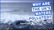 Why are the UK's coasts polluted with sewage?