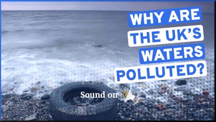 Why are the UK's coasts polluted with sewage?