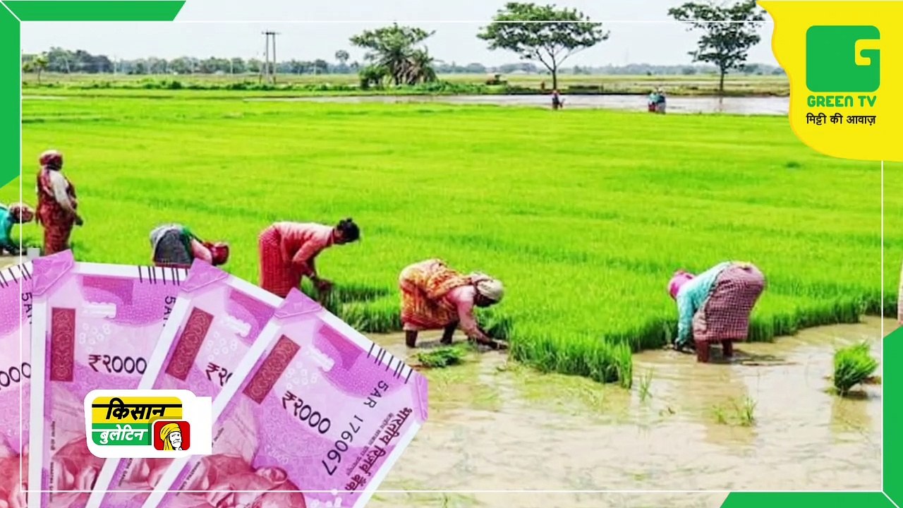 Kisan Bulletin - हरा चारा उगाने पर किसानों को 1 लाख रूपये तक की सब्सिडी | Green TV