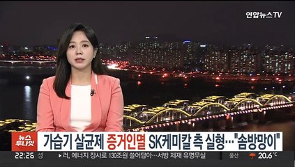 가습기살균제 '증거인멸' SK케미칼 측 실형…"솜방망이"