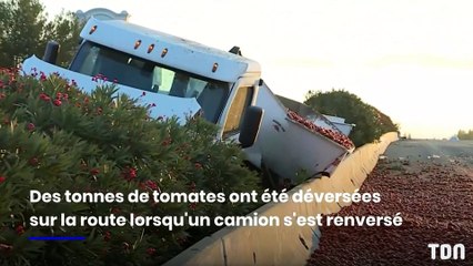 Un camion rempli d'une cargaison de tomates se renverse sur l'autoroute !