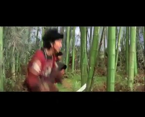 The Vengeful Beauty (1977) Shaw Brothers **Official Trailer** 血芙蓉