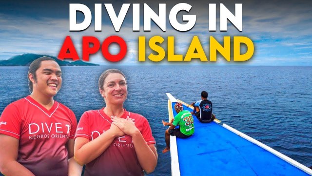 Swim with Sea Turtles on This Tiny Island in Negros Oriental | Spot.ph