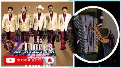 TIGRES DEL NORTE - MAL NEGOCIO (ACAPELLA)