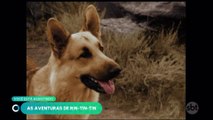 As Aventuras de Rin-Tin-Tin - Rin-Tin-Tin e a Caixa Mágica (28 08 2022)