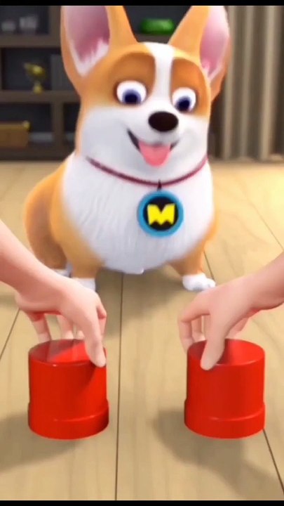 Funny dog very Sad