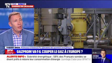 Thierry Bros: "Si les Russes coupent complètement le gaz [...] on devra baisser notre demande gazière, en Europe, de 16%"