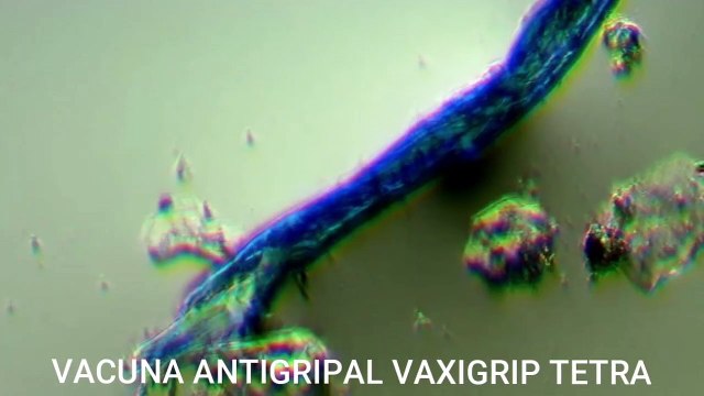 Resumen de las investigaciones de La Quinta Columna