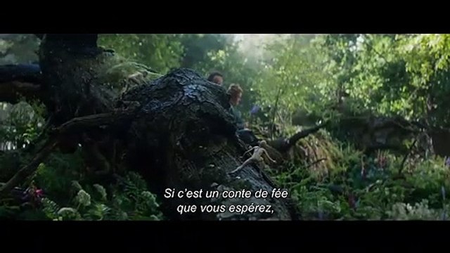 Le Chasseur et la Reine des glaces Bande-annonce (FR)
