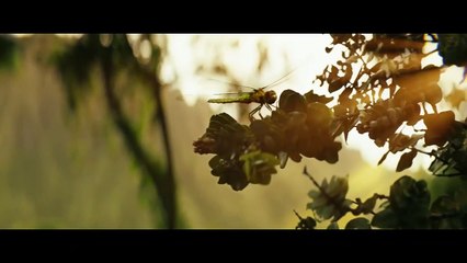 Kong : Skull Island Bande-annonce (DE)