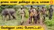 Baby Elephant | வெள்ளத்தில் அடித்து வரப்பட்ட குட்டி யானை மீட்பு