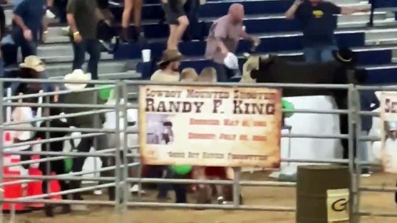 Bull escapes from pen at Florida rodeo