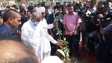 सीएम गहलोत  ने 73वें राज्य स्तरीय वन महोत्सव की शुरुआत, देखें Video