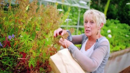 Summer Gardening with Carol Klein episode 4