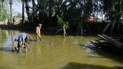 Pakistan floods: Should India extend a helping hand?