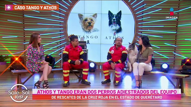 Athos y Tango obtiene justicia: 10 año de cárcel a asesino de perritos rescatistas