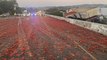 Truck hauling tomatoes crashes, spills load across Northern California highway