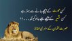 Hakeem Lukman ki nasihat _ Hakeem lukman quotes in urdu _ Daily Urdu Story _ Urdu Aqwal _ aqwal e zareen