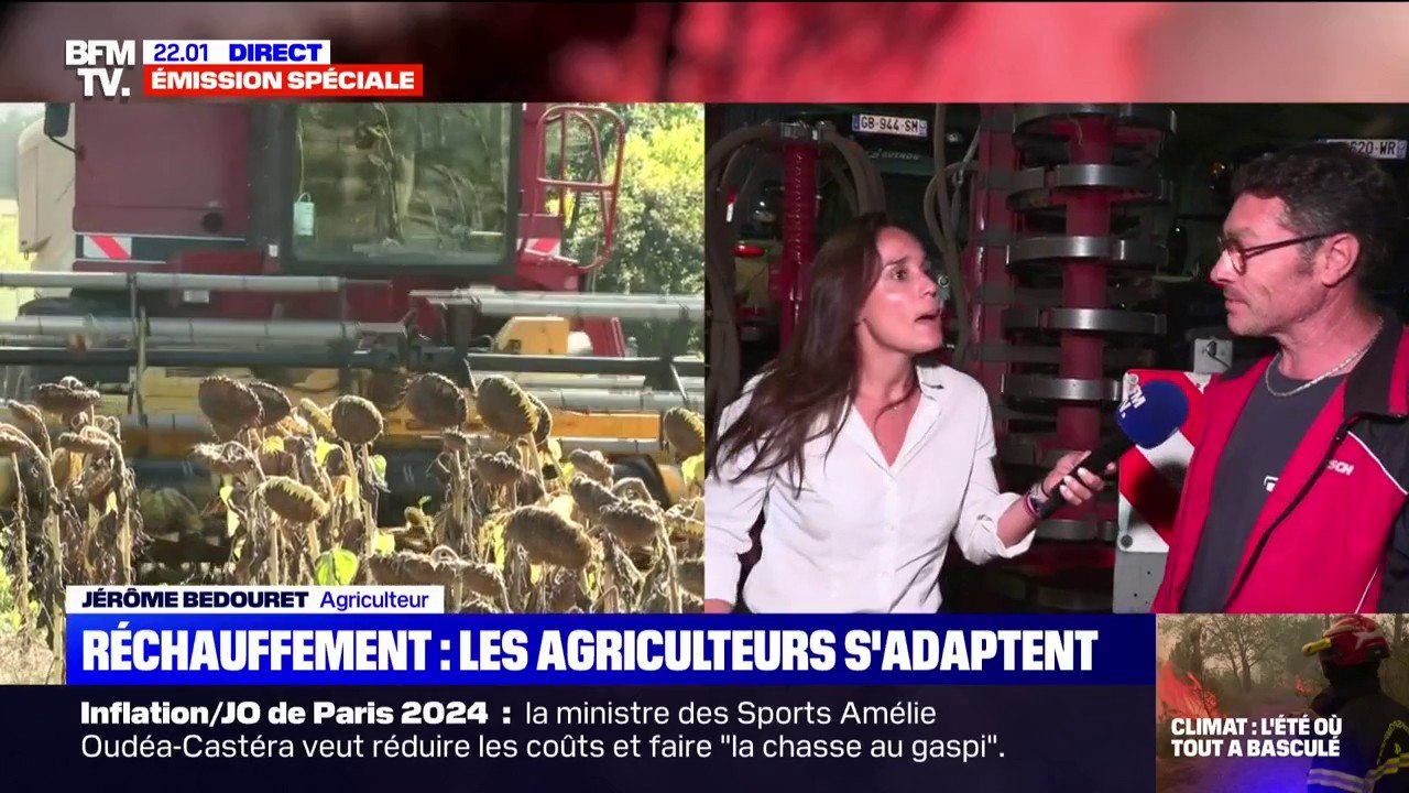 Face au changement climatique, cet agriculteur s'adapte et essaye de nouvelles cultures