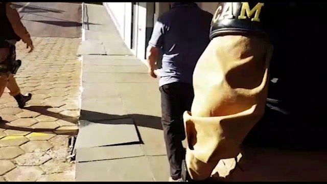 Idoso de 70 anos é encaminhado à 15ª SDP por posse ilegal de arma de fogo