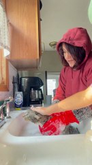 Cat Creates Chaos in the Bath