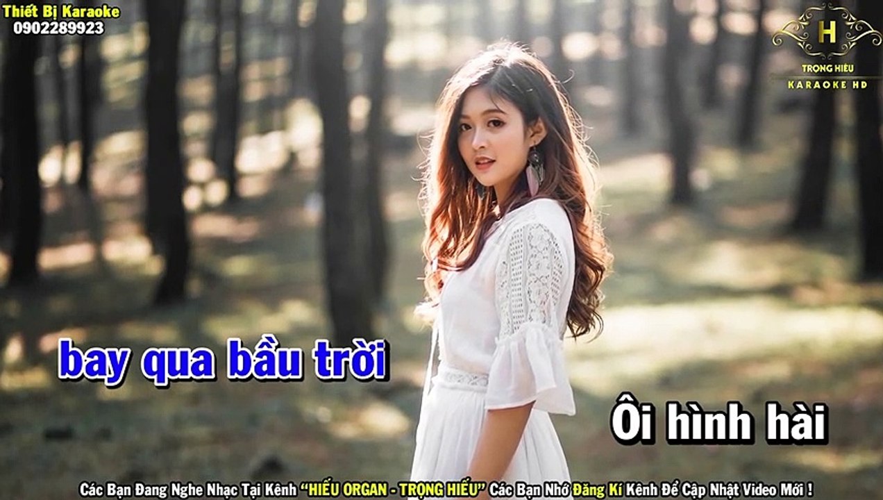 Karaoke Linh Hồn Tượng Đá Tone Nam Nhạc Sống - Trọng Hiếu