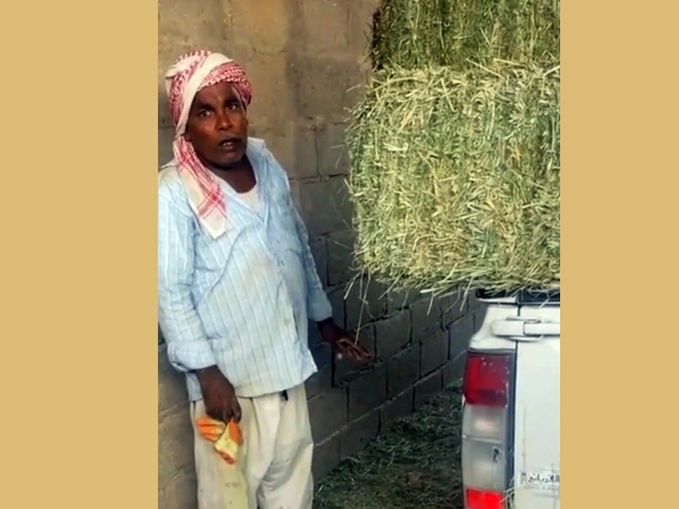 Village comedy