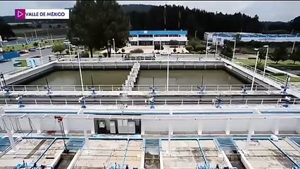 Black Jaguar-White Tiger: suman 118 grandes felinos reubicados