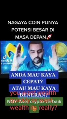 Buy nagaya assets is backed golden turn up continously