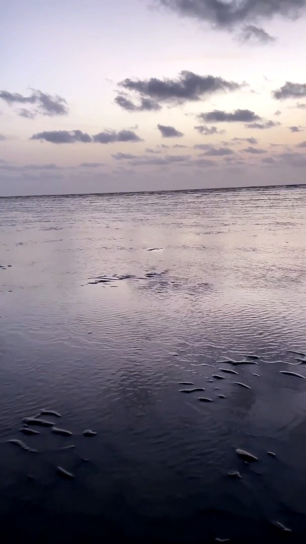 Meditation Music, Relaxing Music, Calming Music, Stress