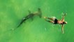 Sharks frequent waters near crowded urban beaches, Miami study finds
