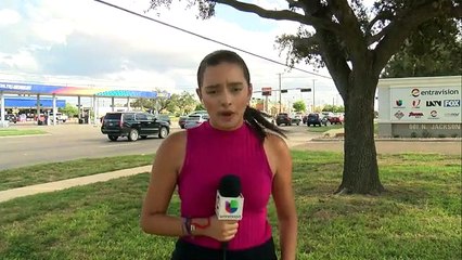 Noticias Univision 48 a las 5