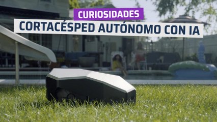 [CH] Cortacésped autónomo y perro guardián