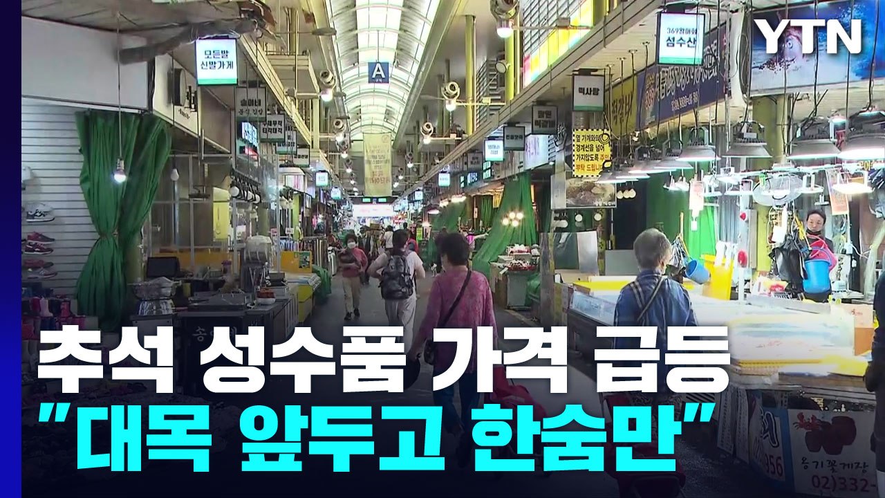 추석 차례상 물가 고공행진..."명절 대목 앞두고 한숨만" / YTN