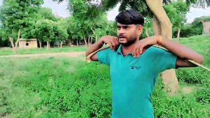 bhai ye  nahi ghode  Hai ghode 