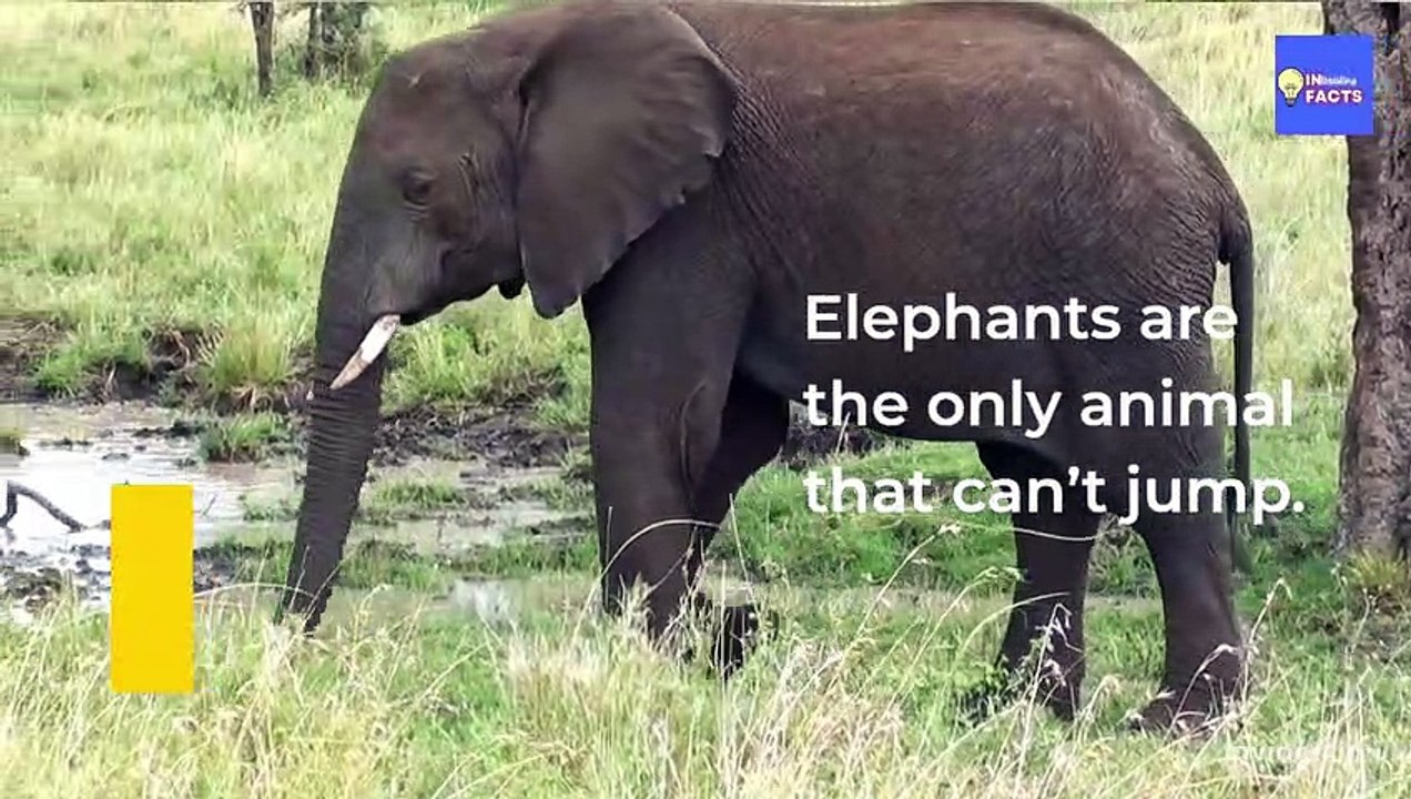 Believe it or Not