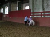Equitation au Centre de loisirs equestre du Carreau...