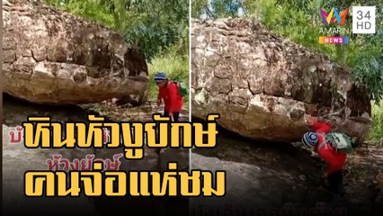 ข่าวเที่ยงอมรินทร์ | ตะลึง! เก็บเห็ดเจอหัวงูยักษ์ จ.กาฬสินธุ์ | 31 ส.ค.65