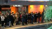 Sydney commuters face major delays due to train and bus industrial action