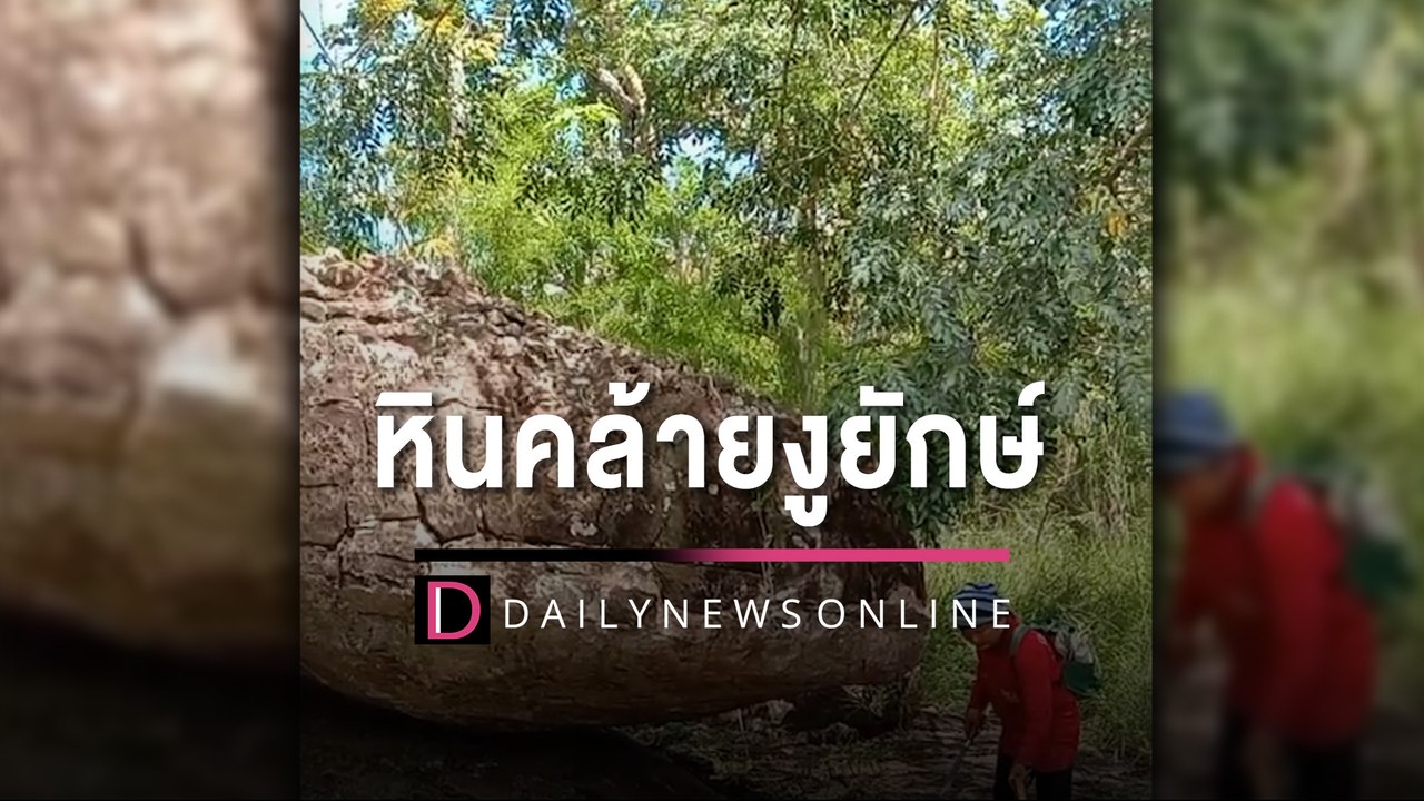 เข้าป่าเก็บเห็ดผงะเจอ “หินคล้ายงูยักษ์” คอหวยไม่พลาดตีเลขเด็ด | HOTSHOT เดลินิวส์ 31/08/65